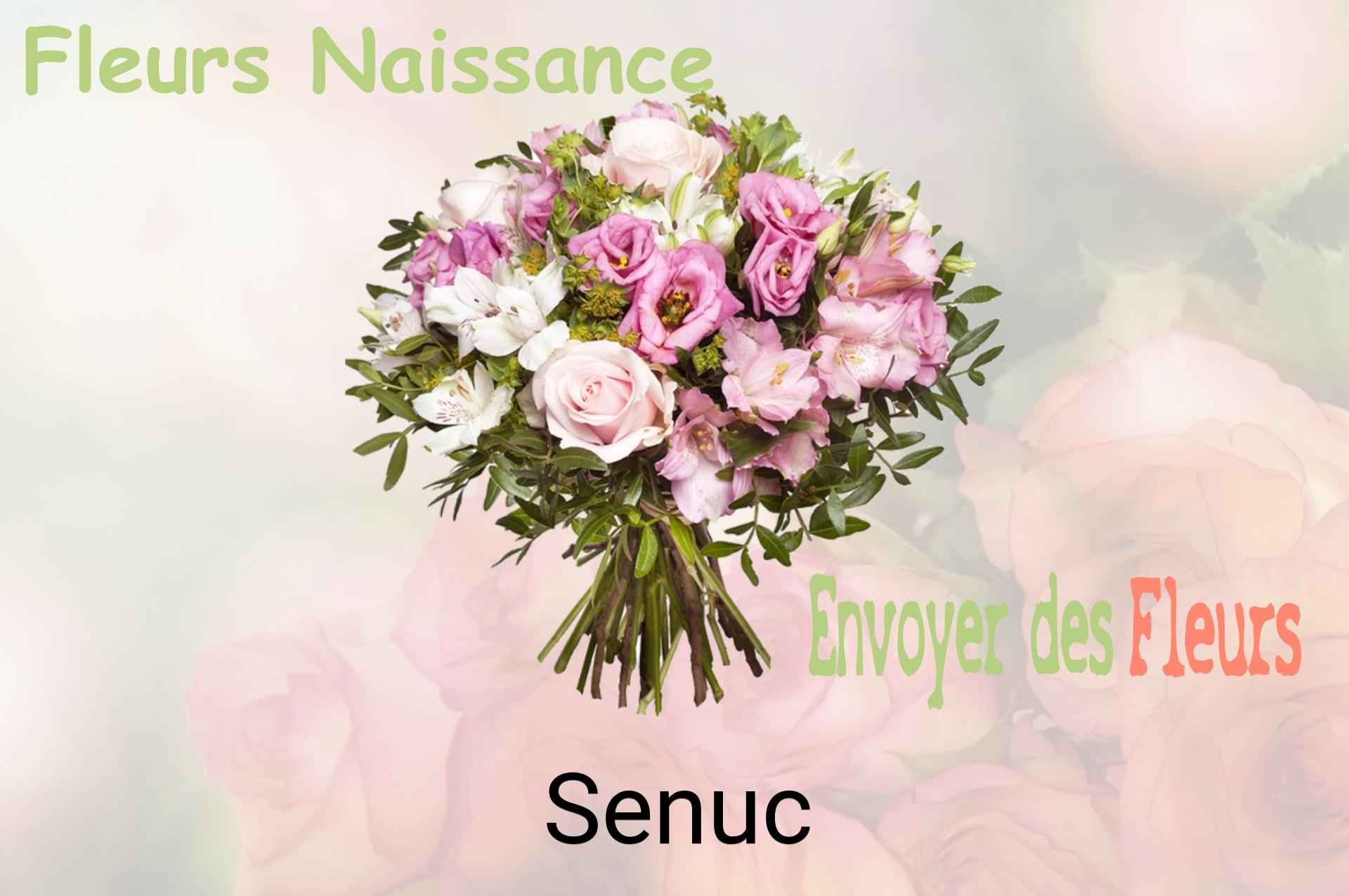 Bouquet de fleurs de naissance livré à Senuc